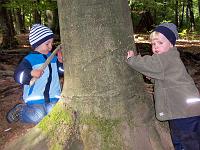 (12 von 243) : KIGA Hausen Waldwoche